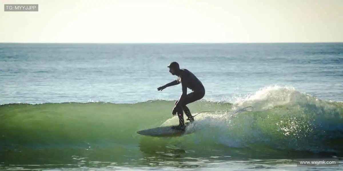 🎯精准数据，深度解析赛事背后的故事！